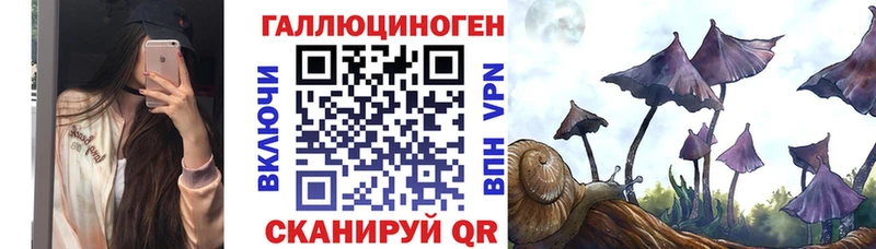 нарко площадка наркотические препараты  купить закладку  Заринск  Псилоцибиновые грибы прущие грибы 