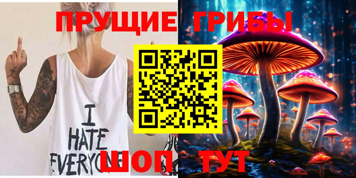 Псилоцибиновые грибы Psilocybine cubensis Заринск