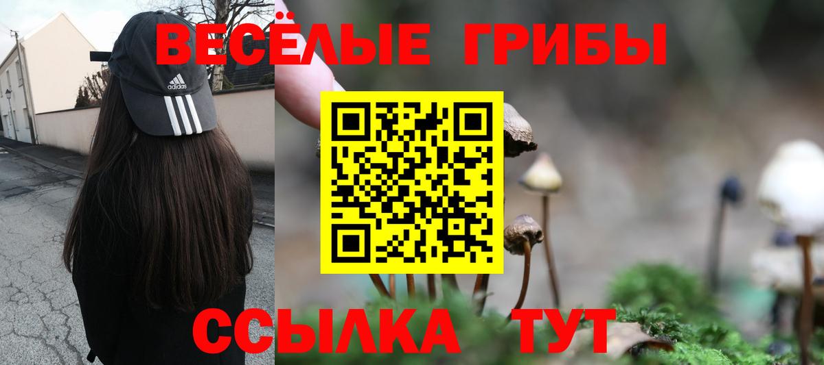 Галлюциногенные грибы мухоморы  Вход с VPN  Заринск  Галлюциногенные грибы мухоморы 