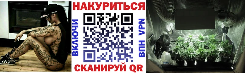 Каннабис гибрид Заринск