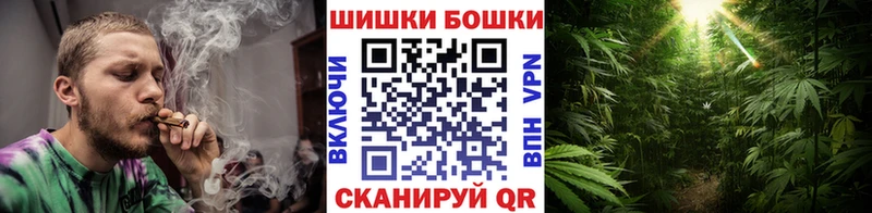 Канабис план Заринск